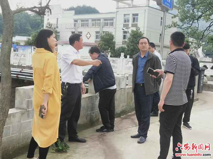 金寨县生态环境分局党组书记、局长陈绍东等一行到铁冲乡调研生态环保工作