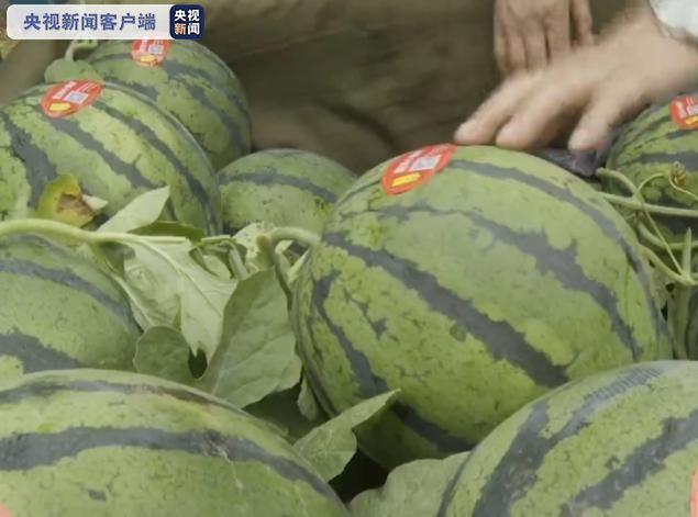 疫情致营口果蔬滞销 460余吨“暖心果蔬”被认购