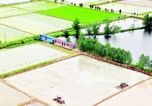 抢抓农时忙夏种