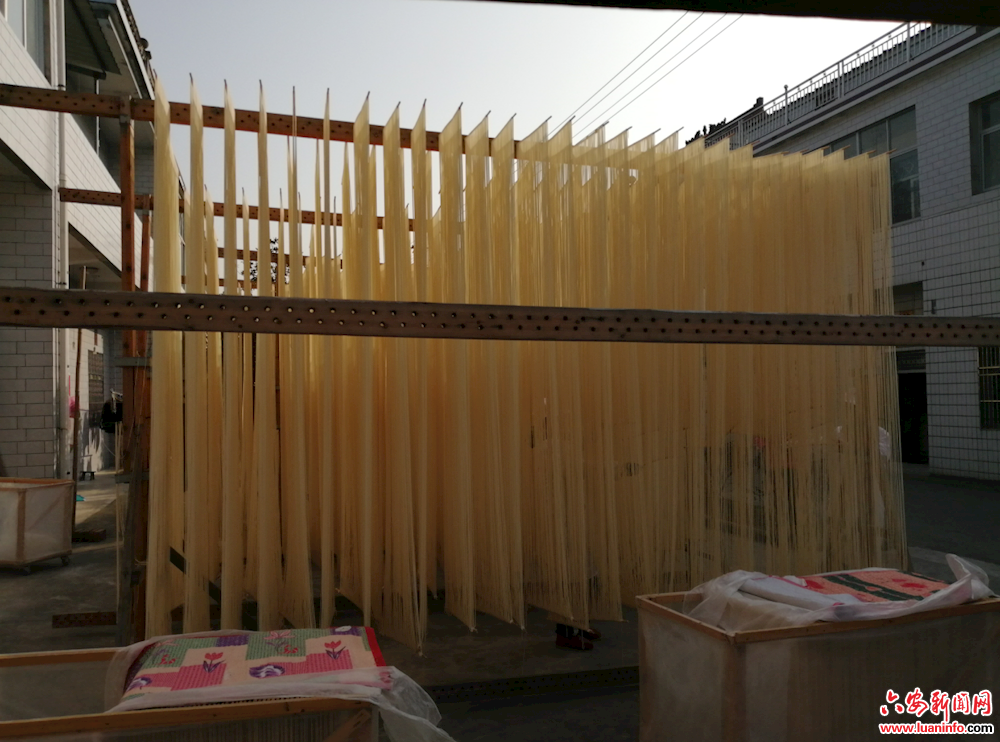 挂面之乡美好“钱”景 