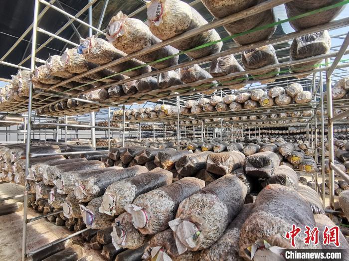 特色产业发展瓶颈如何破？专家：要形成一县一品