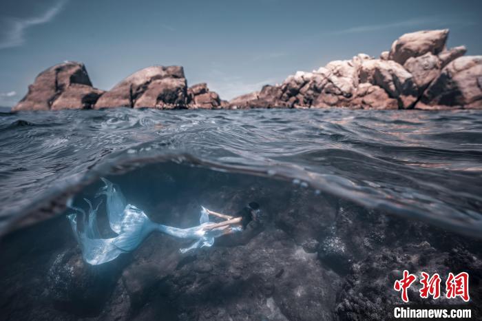 与海底生物伴游的新职业——“美人鱼”在中国悄然兴起