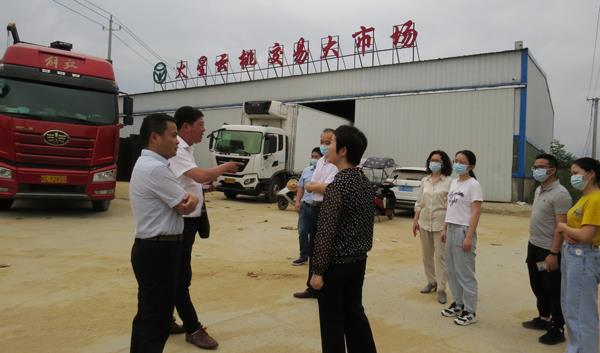 市一谷一带办主动作为，打通“江淮果岭”水果内外销堵点