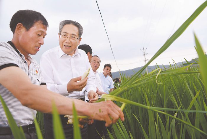 李锦斌在霍山岳西调研时强调：深入开展党史学习教育"我为群众办实事"实践活动 以学党史抓整改正作风实际成效庆祝建党100周年
