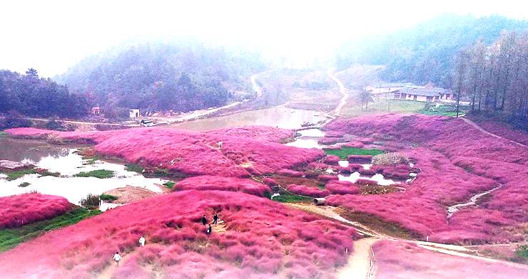 “美丽经济”推动乡村振兴