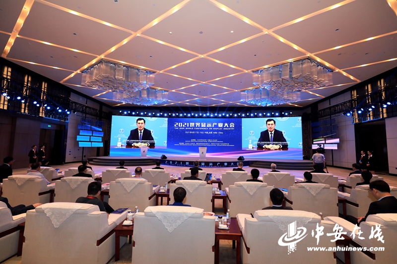 “大咖”齐聚合肥 共话“显示”未来