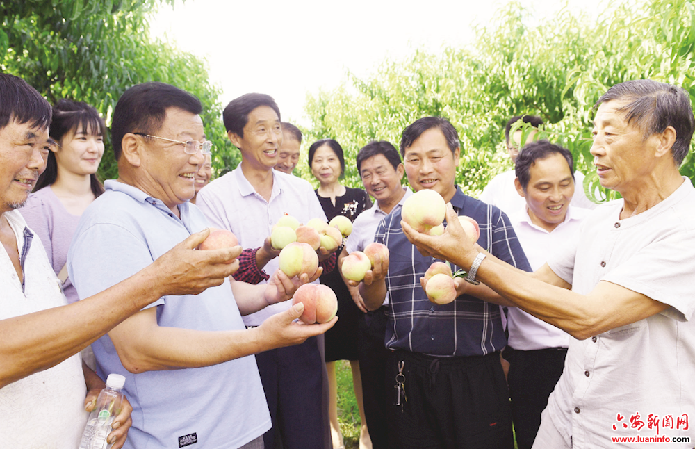 特别的乡村党史学习课 