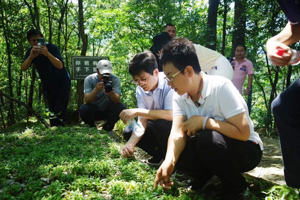 央广《健康中国》聚焦我市西山药库道地药材