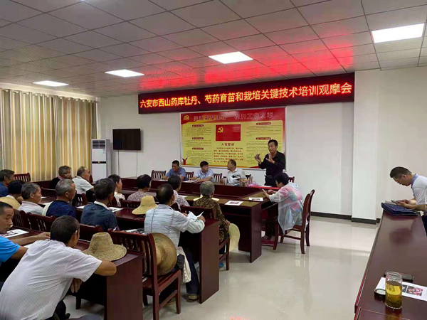 面对面的培训方式，药农评价收效好