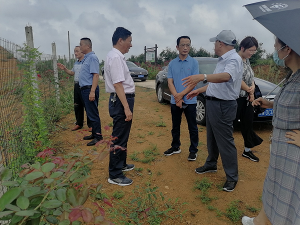 市一谷一带办一行赴金安开展“十大皖药基地”建设工作调研
