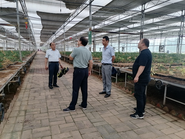 西山药库大数据平台调研组赴金寨调研