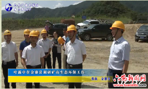 叶露中在金寨县调研矿山生态环保工作 