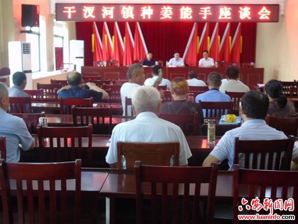 舒城县干汊河镇召开种姜能手座谈会