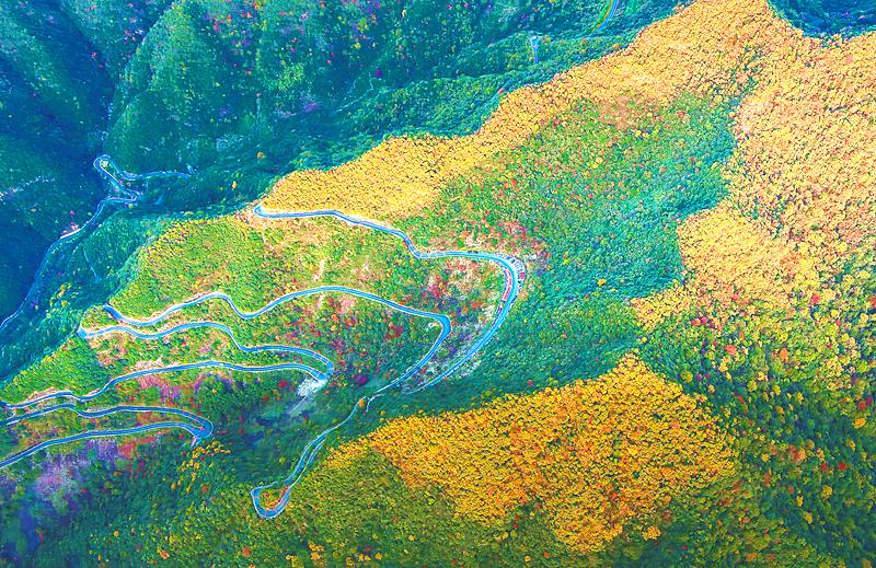 网红"95号公路"风光无限