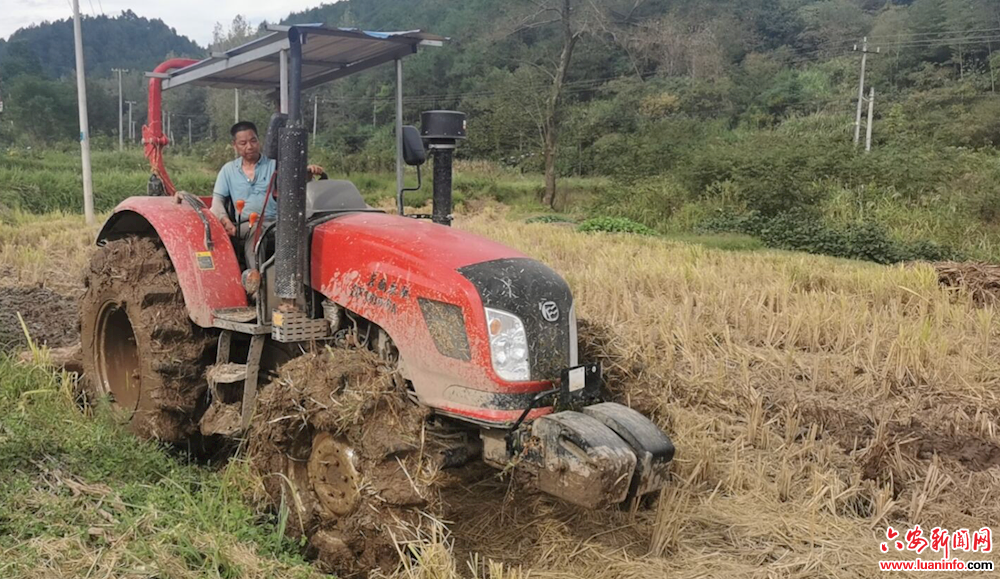 毛坦厂镇多措并举推进秋种工作