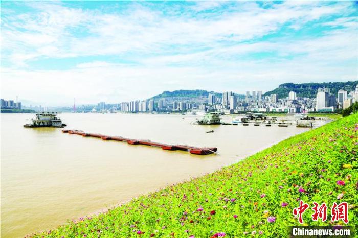 三峡库区生态”逆袭“：消落带变身风景线