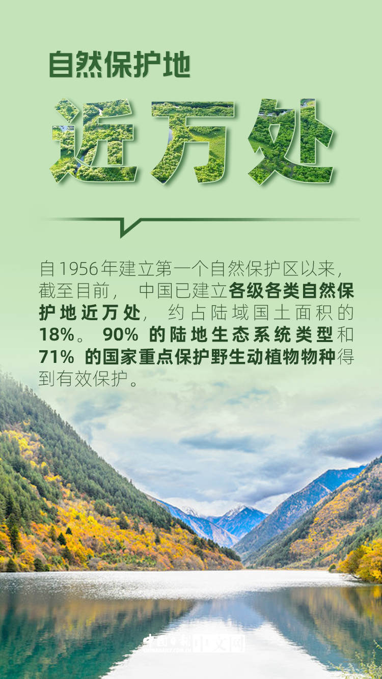 我们的共同家园｜保护生物多样性，中国这样做