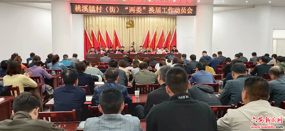 舒城县桃溪镇召开村（街）“两委”换届工作动员会