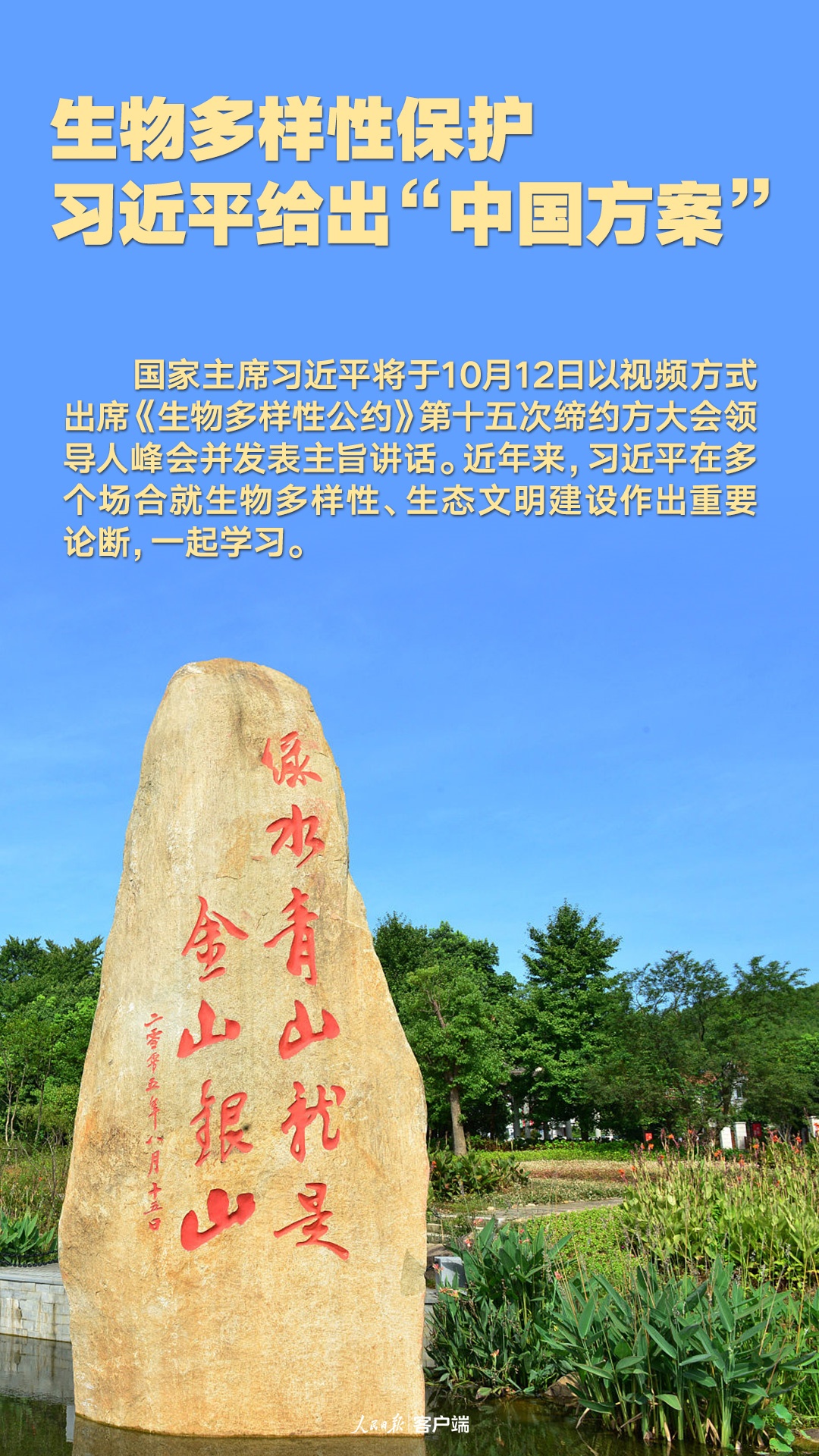 我们的共同家园｜生物多样性保护，习近平给出“中国方案”