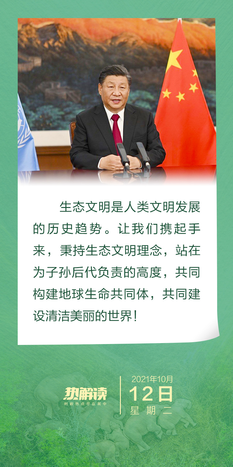 热解读｜这个重要国际会议上 习近平讲到云南大象的故事