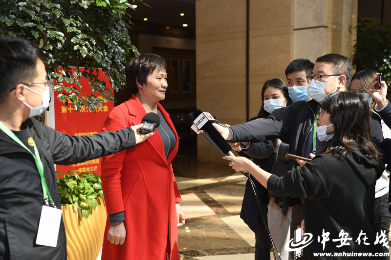 来自金寨大湾村的党代表、大湾村党总支书记何家枝在接受采访.jpg
