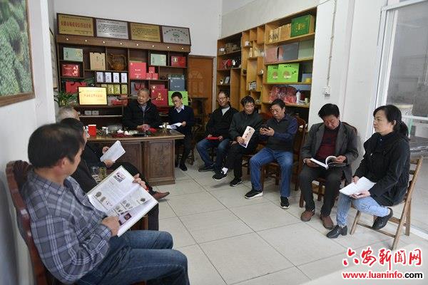 霍山县大化坪镇：百家山上赋诗篇