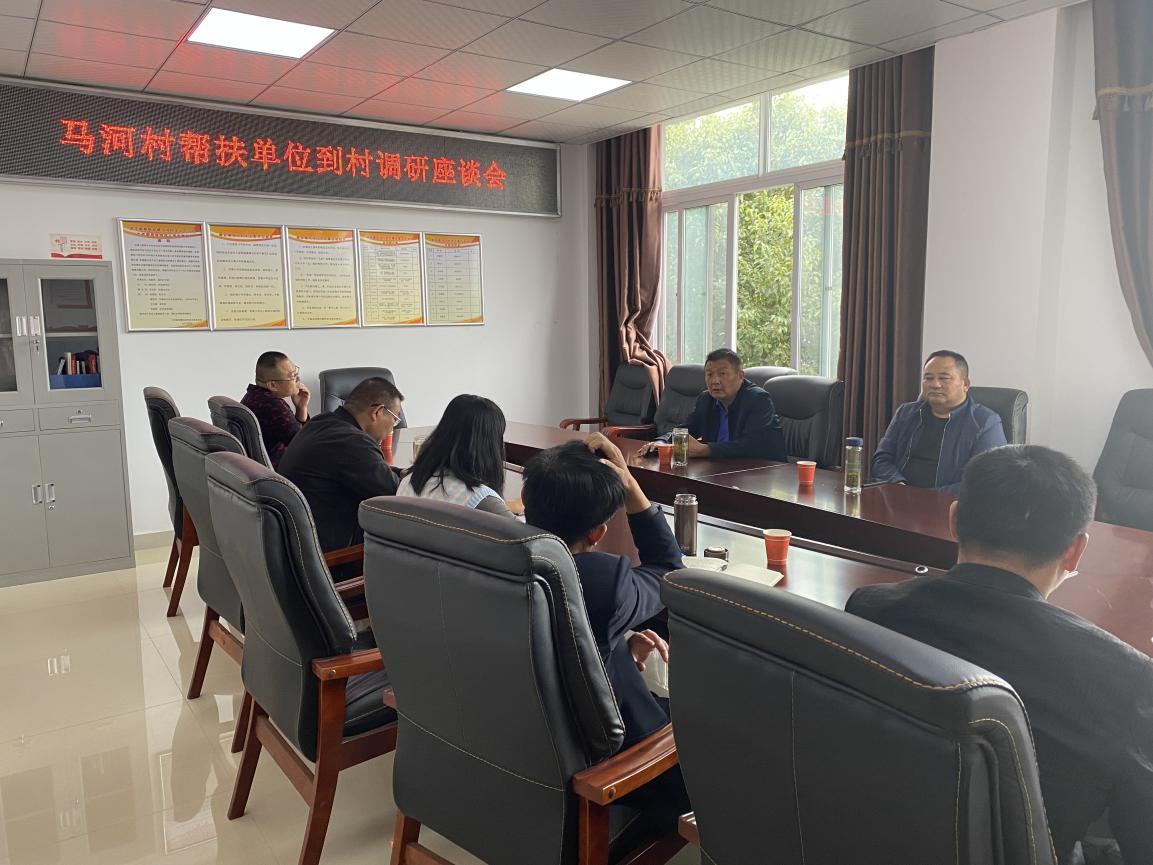 裕安区城管局到裕安区马河村调研乡村振兴工作