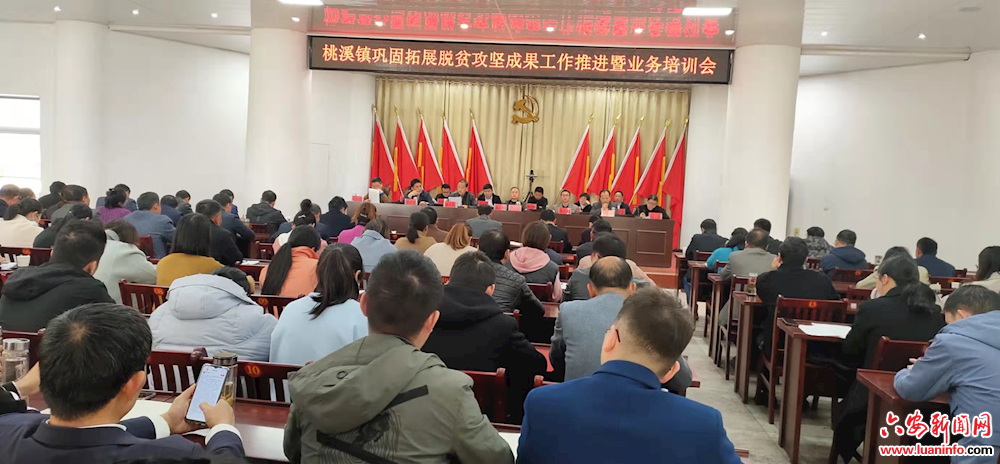 舒城县桃溪镇召开巩固拓展脱贫攻坚成果工作推进暨业务培训会