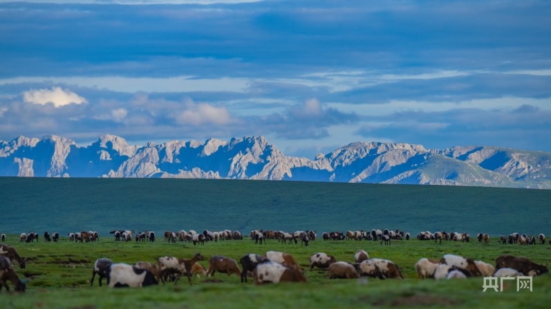 听，“河曲草原”上的新牧歌