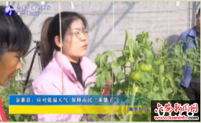 金寨县：应对低温天气保障市民“菜篮子”