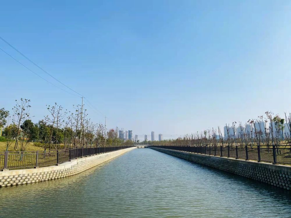 安徽六安：请来“水管家”，河水变了样