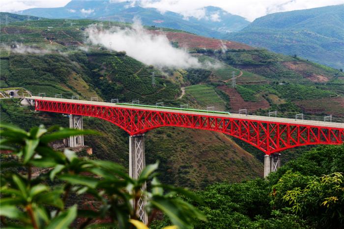 “澜沧号”来了！中老铁路将于12月3日全线开通运营