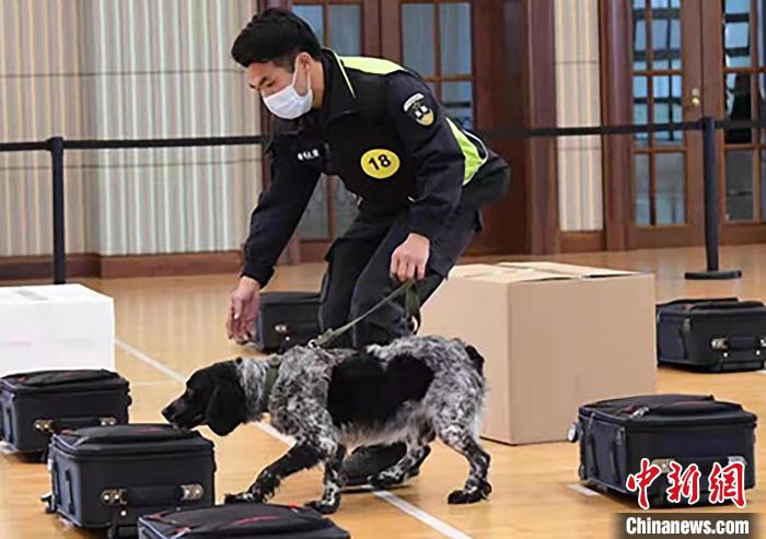 “海关国门小卫士”竞争上岗 淘汰率接近一半