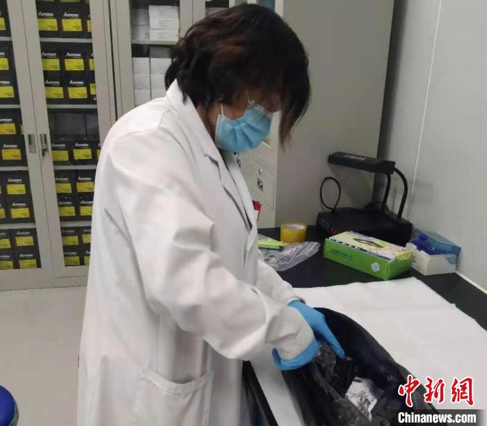 女法医从警23年验尸300余具：为死者伸冤 让生者释然