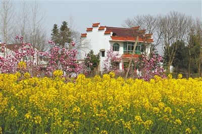 春塘村，有位理发师（遇见）