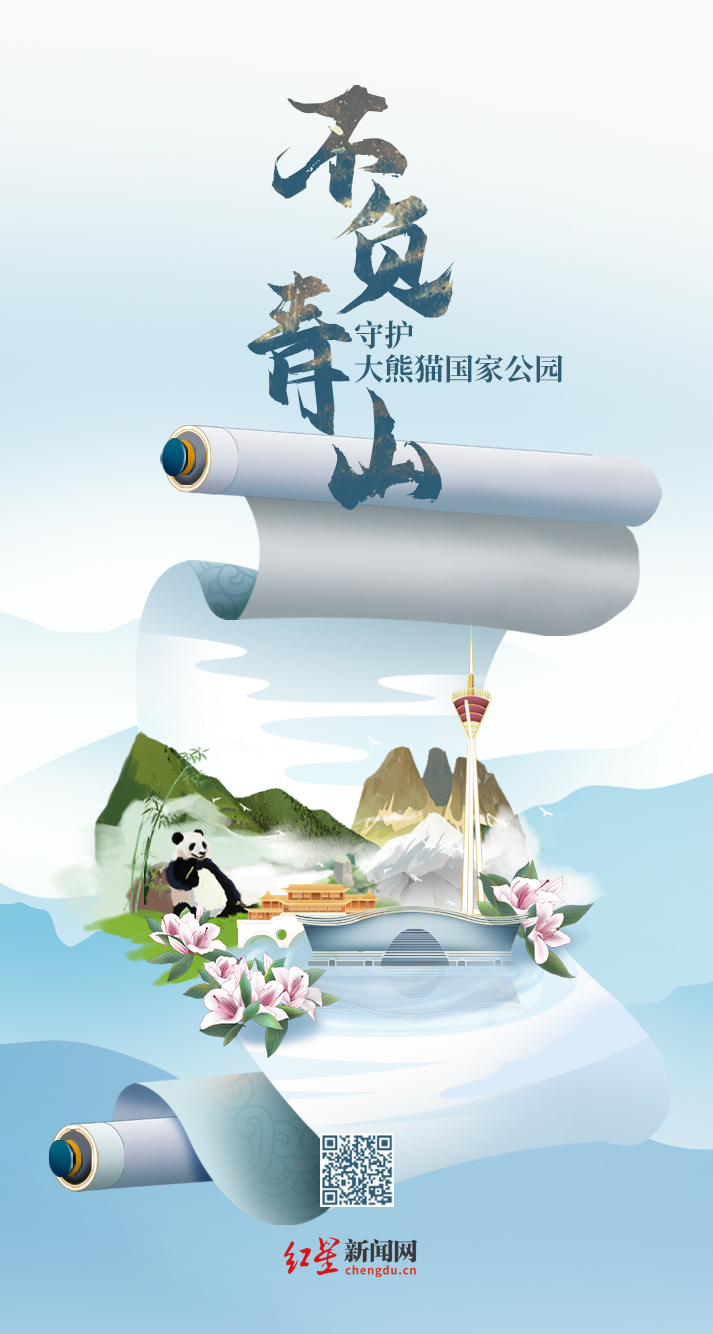 不负青山——手绘长图守护大熊猫国家公园