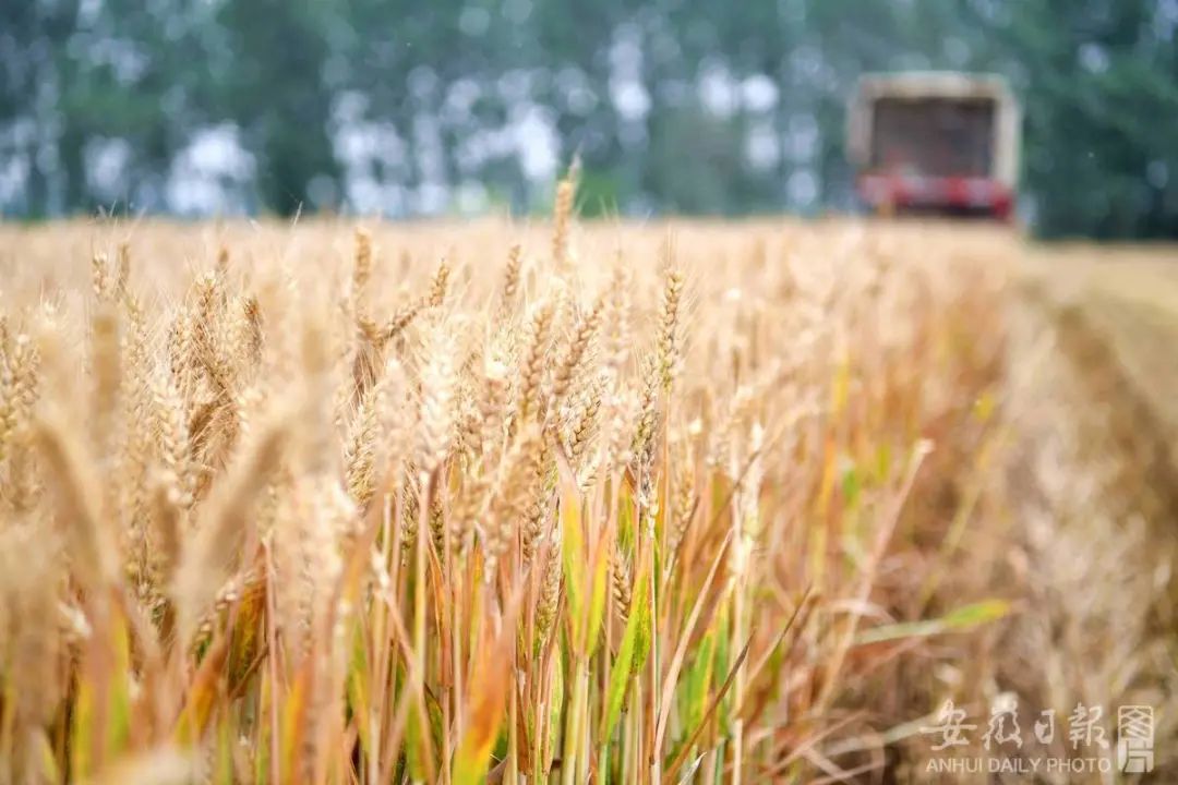 两会观察 | 乘数效应、项目包和中国“好邻居”，一齐砸向这里……