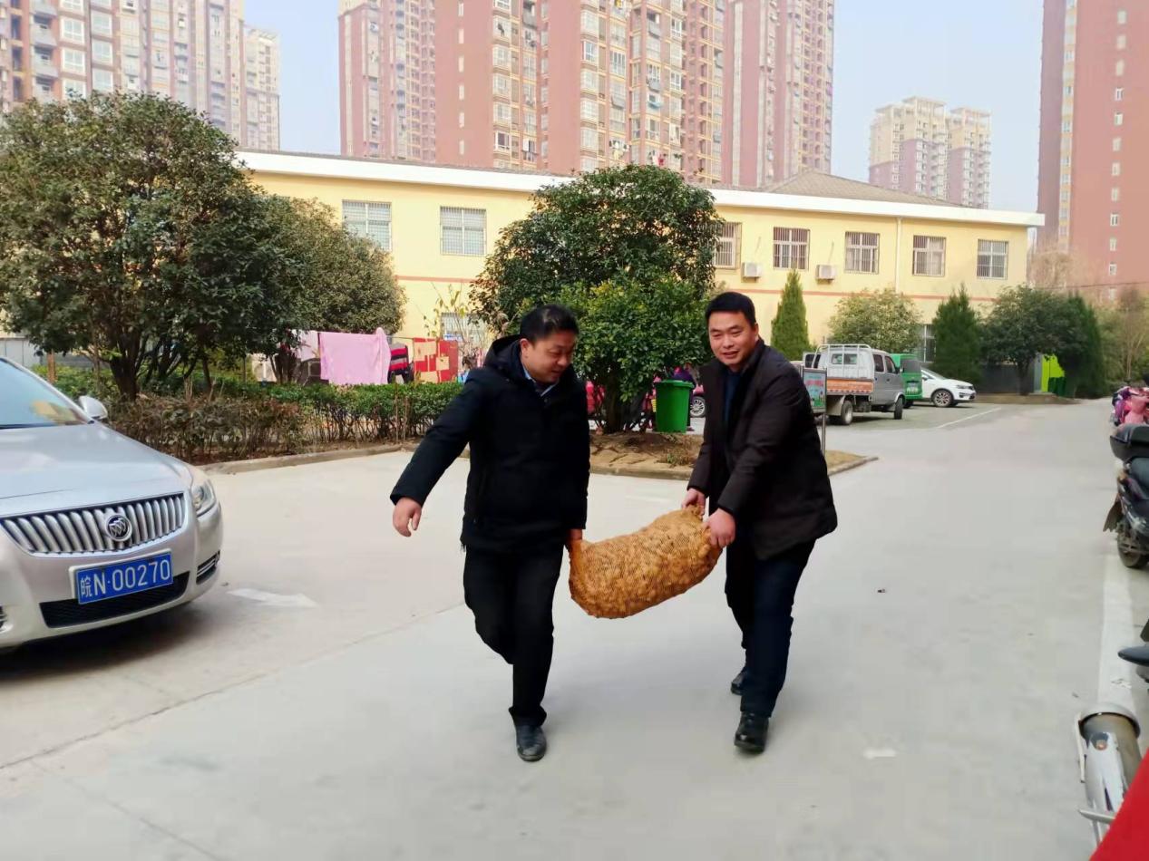 裕安区城南镇周湾村驻村工作队：积极帮助推销生姜 助推乡村振兴