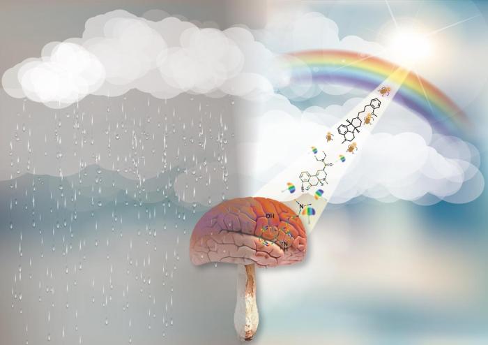 让致幻剂“改邪归正” 沪科学家研发出新型快速抗抑郁化合物