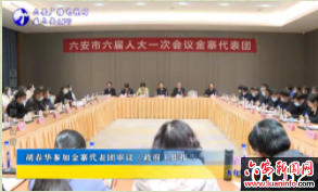 胡春华参加金寨代表团审议《政府工作报告》