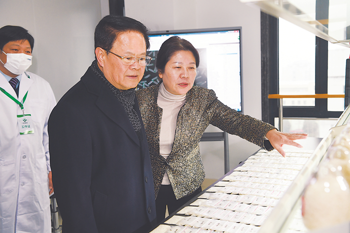 郑栅洁调研合肥种业振兴工作并召开调研座谈会