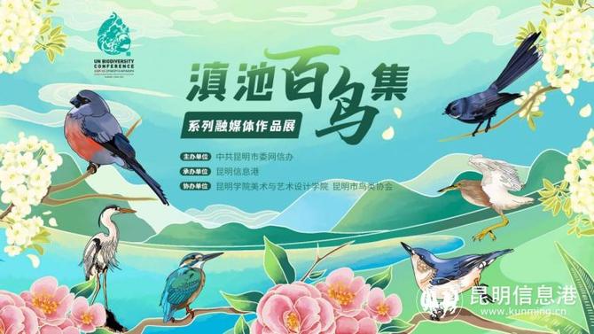 炫！彩绘“滇池百鸟集”上线 最强昆明观鸟攻略等你打卡