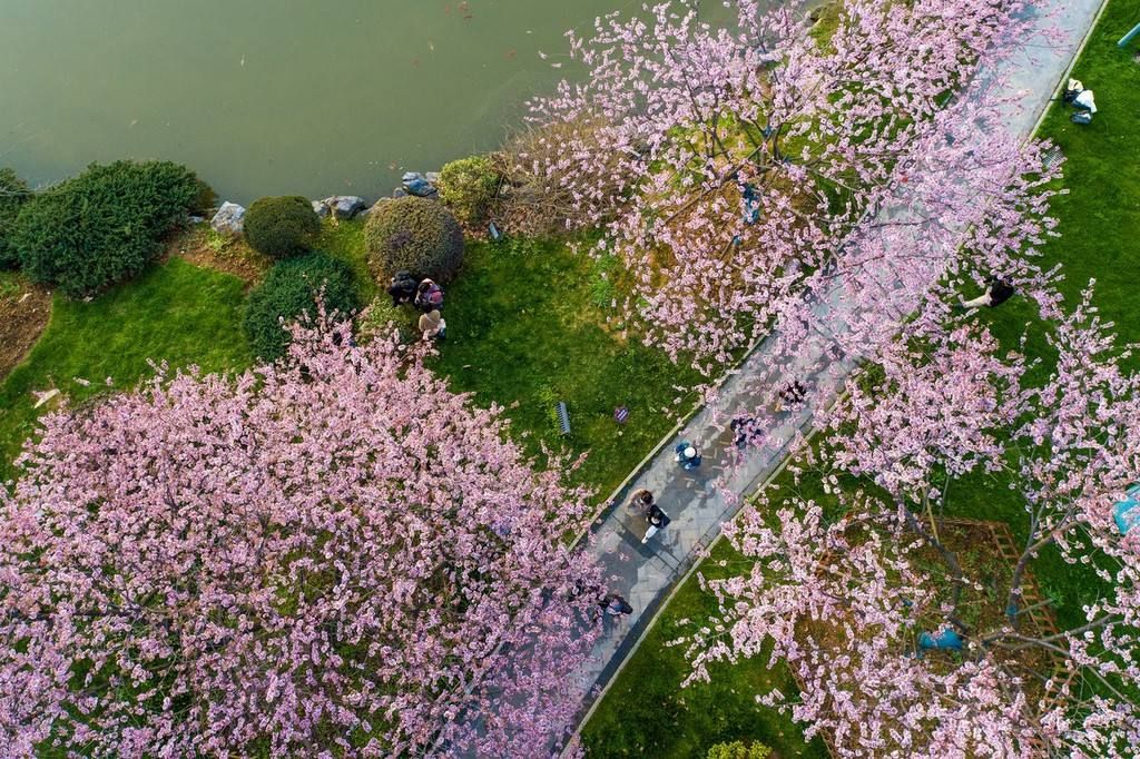“总书记，这里的春天更美丽！”