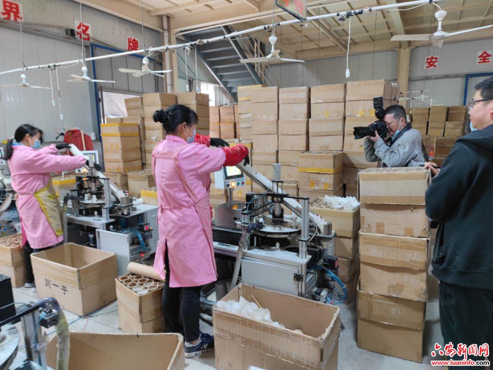 《皖西日报》记者深入干汊河镇采访羽毛产业发展