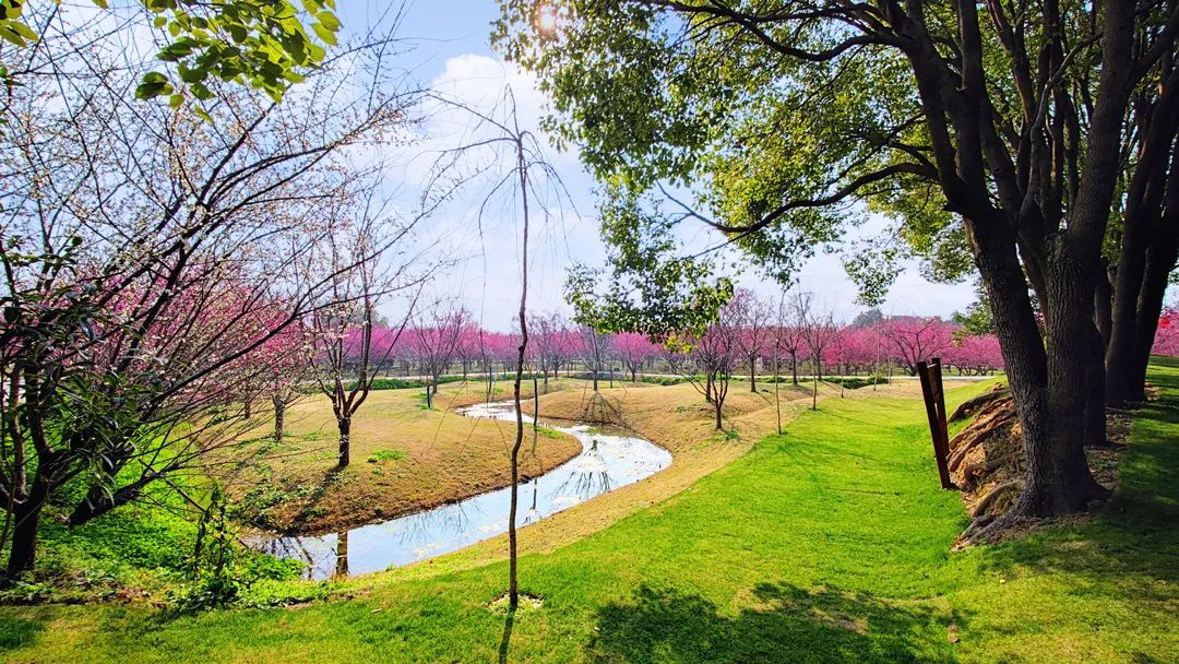 荆州的春是什么颜色？10条精品旅游线路、20条乡村旅游线路告诉您答案