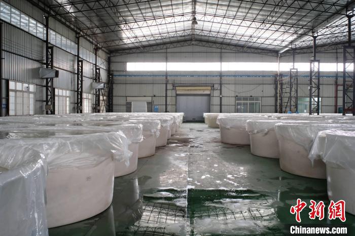 广西柳州发布螺蛳粉酸豆角标准 保护“网红”小吃高质量发展