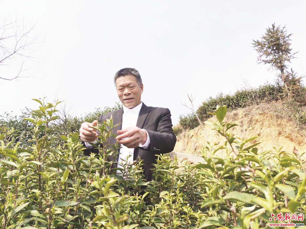 【人大代表履职在线】全国人大代表陈先志—— 共建大别山革命老区绿色发展示范区