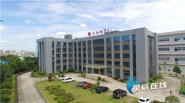 春色满园①|永和阳光：体外诊断国产化崛起，乘风破浪再启航