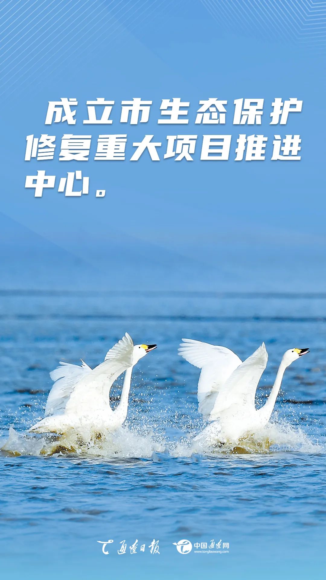 通辽：绘就生态底色 扮靓绿色“颜值”