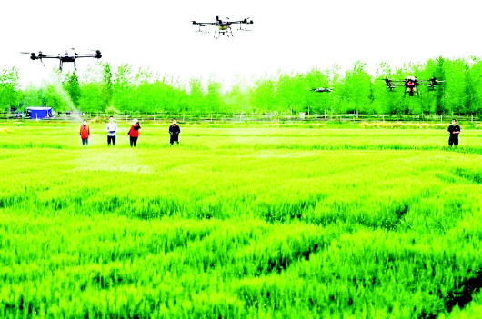 “疫”线助农保丰收